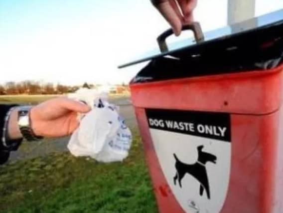 Some dog owners do not clear up after their dogs.