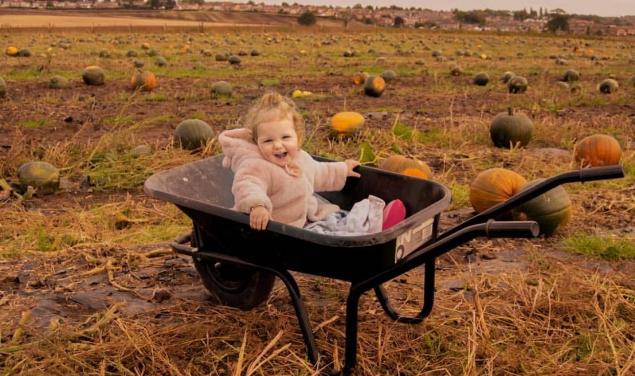 Little girl enjoying a pumpkin patch by @believeinmagicimages