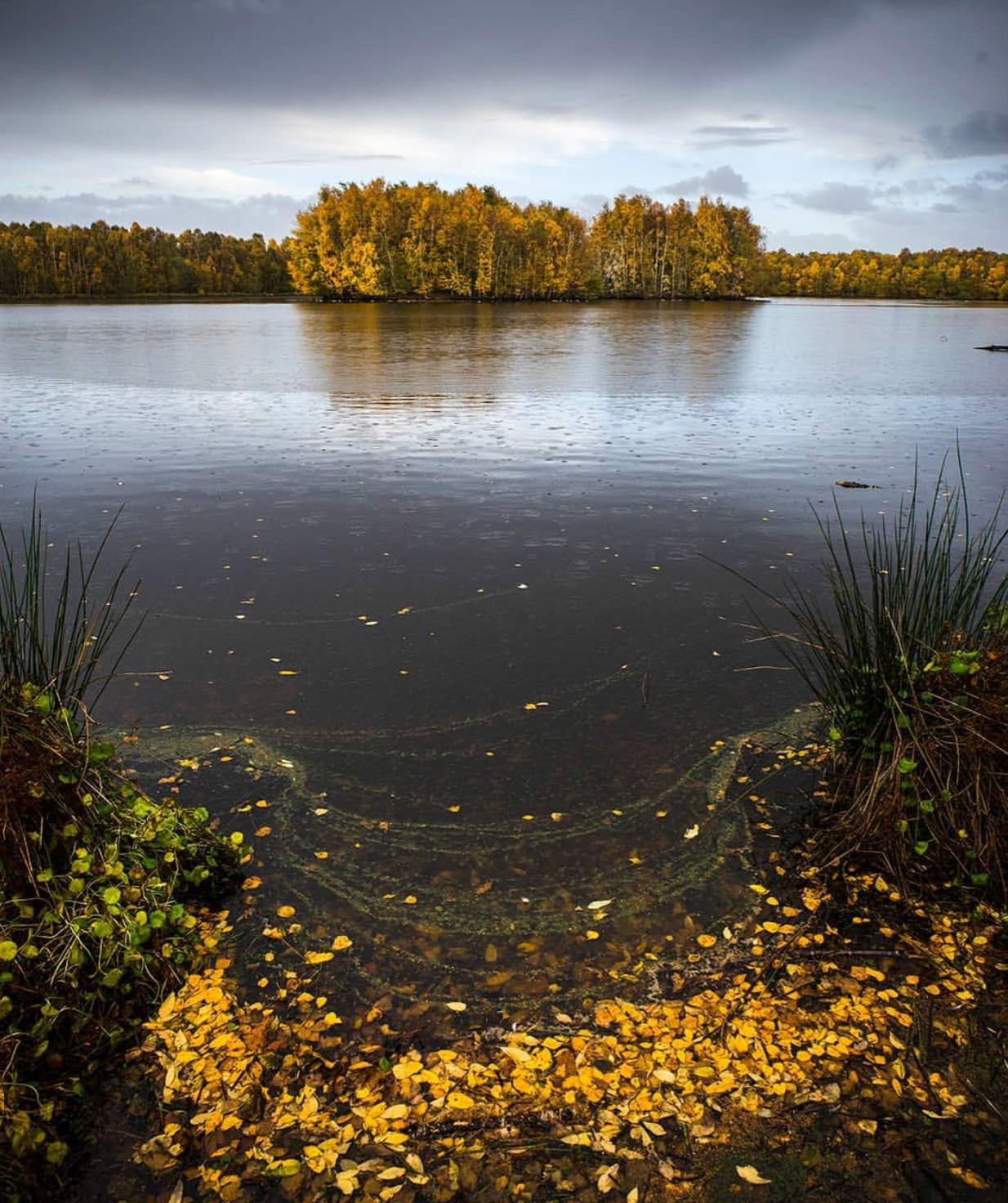 Autumnal scenery by @britishcoastline