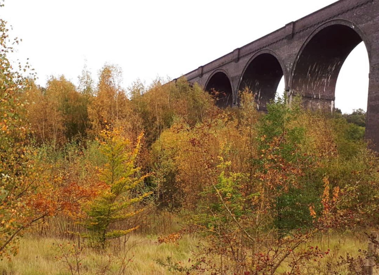Conisbrough Viaduct looking autumnal by @begona.hernandez