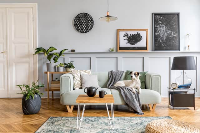 <p>These are all the essential things you need when decorating a living room</p>