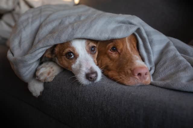 <p>The best heated blankets to keep you warm in winter</p>
