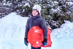 Best sleds, sledges, and tobaggans