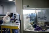 New research has been conducted on the pathogen that causes “Black Death”.