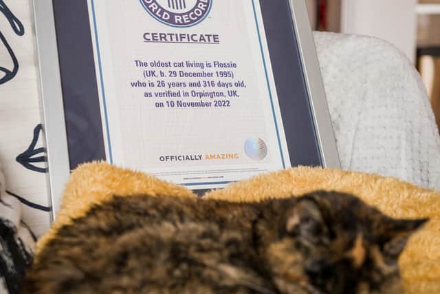 Record-breaker Flossie with her certificate.