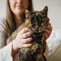 Flossie, pictured here with new owner Vicki, has been named the world’s oldest cat by the Guiness Book of World Records.