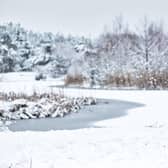 Bookies are in favour of a white Christmas this year
