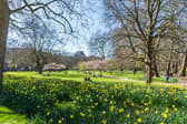 Easter weekend is set to be drier and brighter, the Met Office said (Photo by Dave Rushen/SOPA Images/LightRocket via Getty Images)
