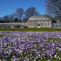 Members of the public enjoy the spring weather in the Botanical Gardens in Sheffield on 17 March 2022.