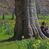 People enjoy spring weather.