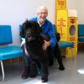 Paul O'Grady at Battersea Cats and Dogs Home with Peggy a Newfoundland dog (Credit: ITV/Multistory Media)