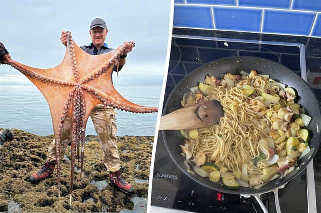 Ziggy Austin with the seven foot octopus at Hopes Nose near Torquay, Devon and the octopus-based stir fry.