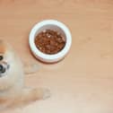 What kind of food can humans share with dogs? Some cupboard staples you can use to improve your pet's diet