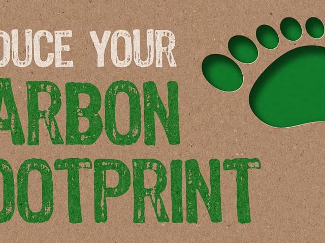 Reduce your carbon footprint (photo: Shutterstock)