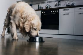 Dog owners are being warned that raw dog foods could be poisonous