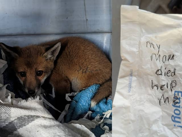 The fox cub was discovered in the village of Langley Moor, Durham in a carrier bag.  Inside there was also a message penned on the back of a paper Greggs bag.