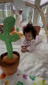 Millie Ray, a five-month-old baby with abnormally thick hair, Vancouver, British Columbia, Canada, 2023. See SWNS story SWSMhair. This baby has such an impressive head of hair that people think she's wearing a wig. Millie Ray, a five-month-old, was born with thick hair, and it has now grown so thick that people assume she's wearing a wig for babies. Julia Zhou, AGE, and Alex Kwong, AGE, Millie's parents say that people are fascinated by the tot's impressive mop of hair. They often ask the young parents, from Vancouver, B.C., Canada, if she is wearing a wig and assume she's older than she is. 
