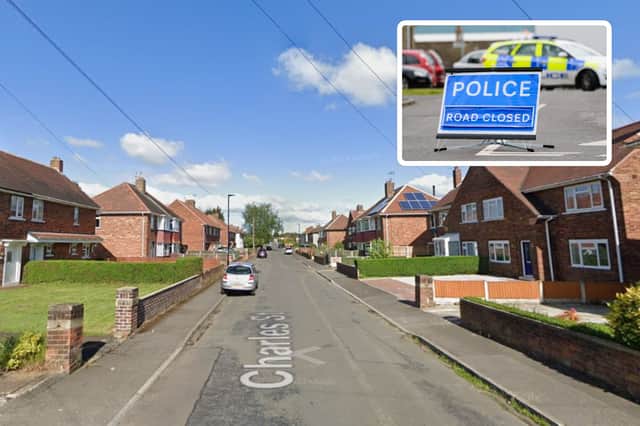 A chihuahua sustained fatal injuries when it was attacked by an XL bully shortly before Christmas in Skellow.