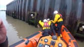 RNLI rescue dog after 14ft fall into river