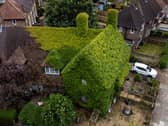 The extraordinary virginia creeper covered house in Bromley, South London which has become a local landmark with tourists stopping to take photos outside it. 