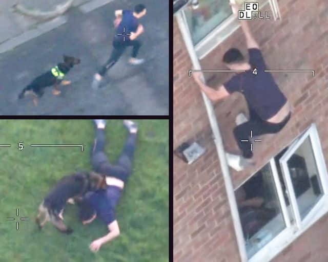 Dramatic footage shows a fugitive driver jumping out a window to evade cops before being wrestled to the ground by a hero police dog.