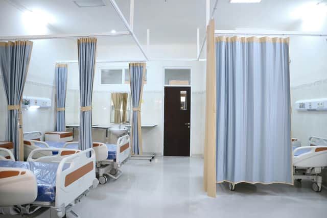 Cases of 'sloth fever' have been detected in Europe for the first time. (Photo: Pexels/gorden murah surabaya)