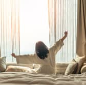 A chicken and a pet lizard make up some of the weirdest things left in hotel rooms around the world