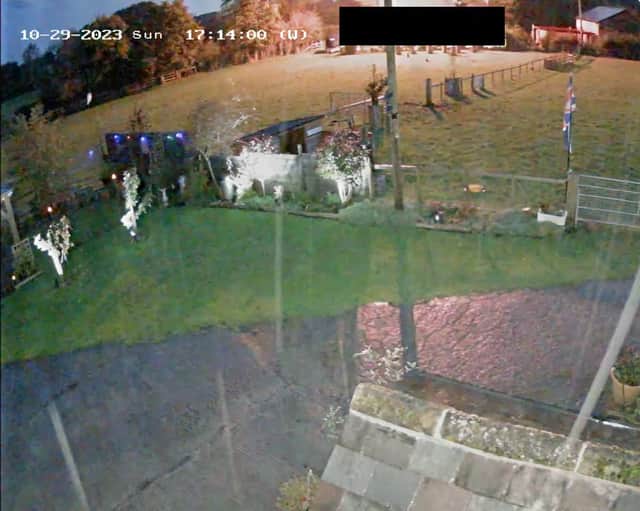 Video grab of sheep fleeing a fireworks display.