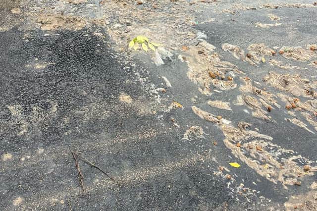 Sewage running through the streets at Whitstable Heights.
