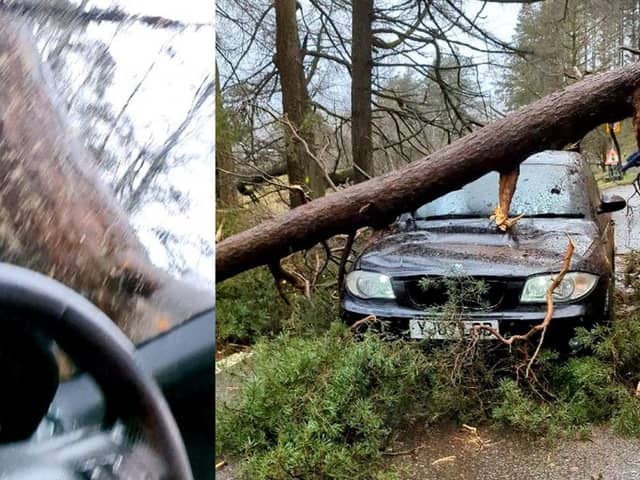 Huge tree trunk crashes down on driver’s windscreen.