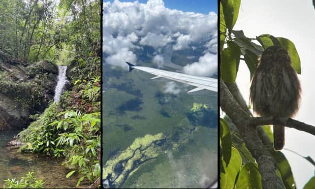 Belize is exceptionally biodiverse, and home to vast swathes of forest cover