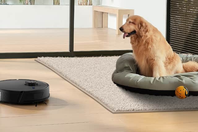 Pet hair really isn't a problem for the T10 Lite