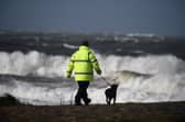 Storms can be a distressing time for our pets.