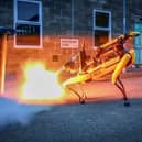 Bomb-defusing robot dog.