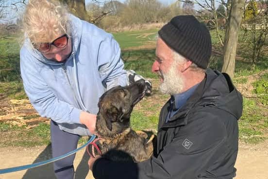 Picture shows the dog Athena, who is safe after being found and re-united with her owners after going missing after fleeing from a tragic crash near the M1 near Rotherham. Photo: K9-RSQ