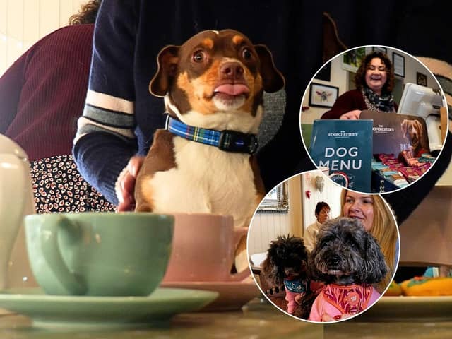 Inside dog-friendly cafe Bijou, where pooches are 'spoilt rotten' with their own tasty menu