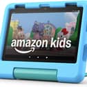 The Fire HD 8 Kids Pro tablet
