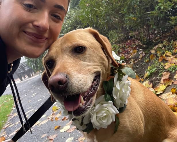 Rebecca McBride, chaperoning a dog.