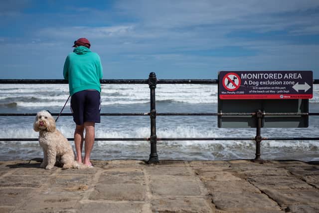 Dog owners could face fines of £1,000 if they take their dogs to the beach this summer.
