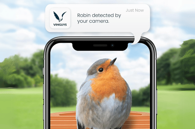 Get alerts on your phone when the hi tech bird feeder spots your favourite species