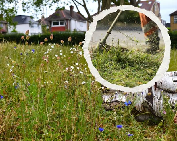 The research challenged a long-held assumption that promoting ecological benefits was enough to win over the public