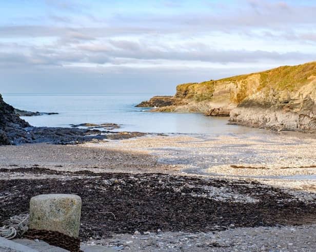 Swimming in the cove of Port Gaverne