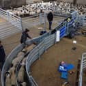 Clipex to host first ever UK on-farm demo day in Doncaster.