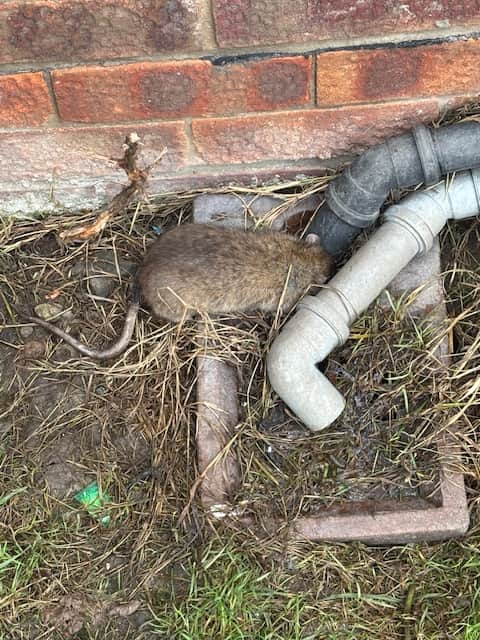 St Leger Homes said the issue originated from a nearby private property.