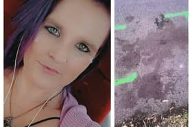 Pals of Sarah Wilson are trying to piece together what happened to her after she was found on Town Field with serious injuries.