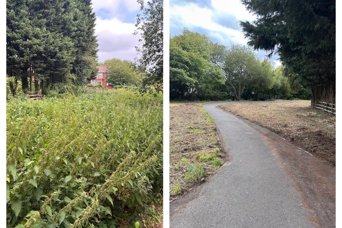 MP's delight as overgrown path near Doncaster supermarket cleared