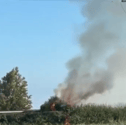 Garden hedges and a shed ablaze in Sprotbrough
