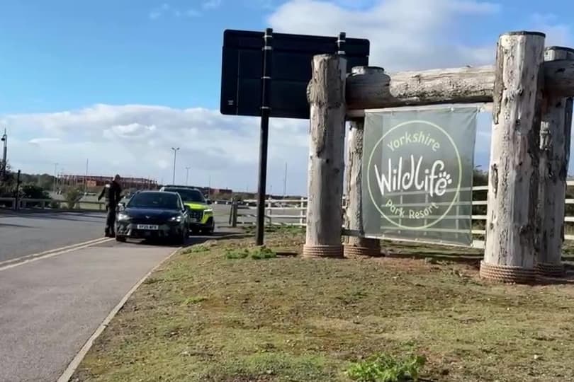 Man seriously injured in tiger attack at Yorkshire Wildlife Park