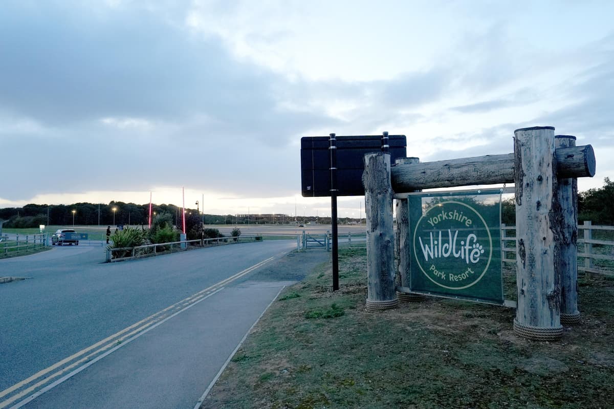 Yorkshire Wildlife Park soll nach tödlichem Tigerangriff wiedereröffnet ...