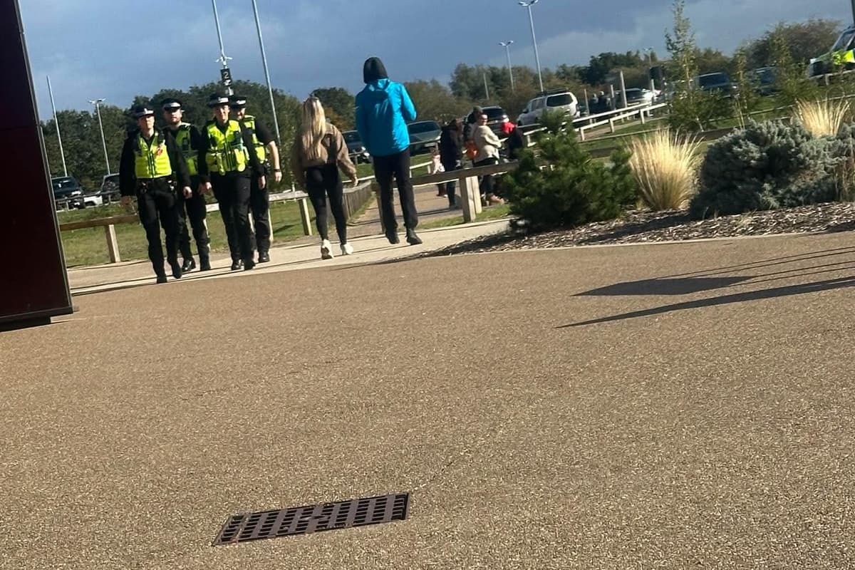 Doncaster MPs voice “heartfelt” sadness after man killed by tiger at ...